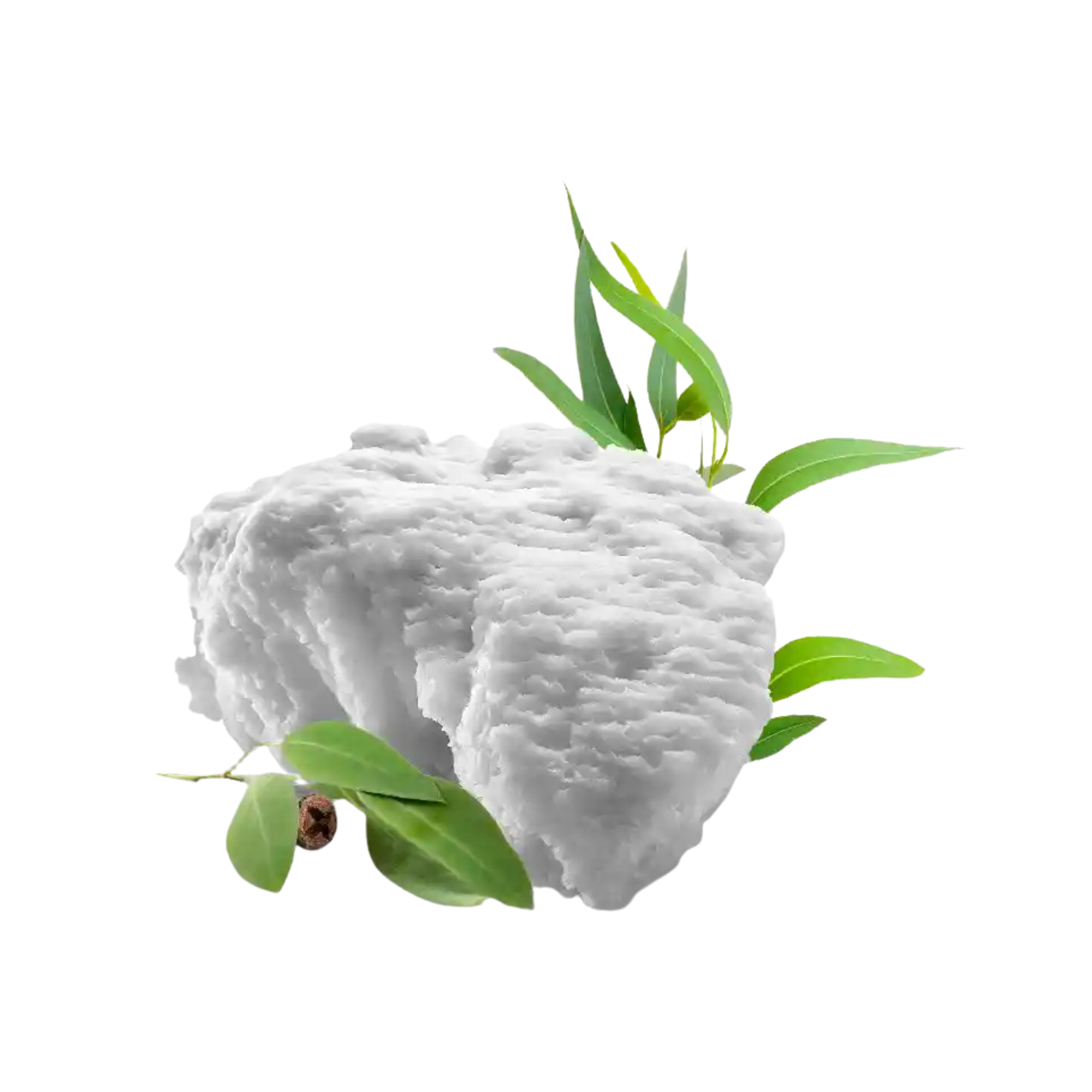 Sels de bain naturel de la mer Morte avec Eucalyptus